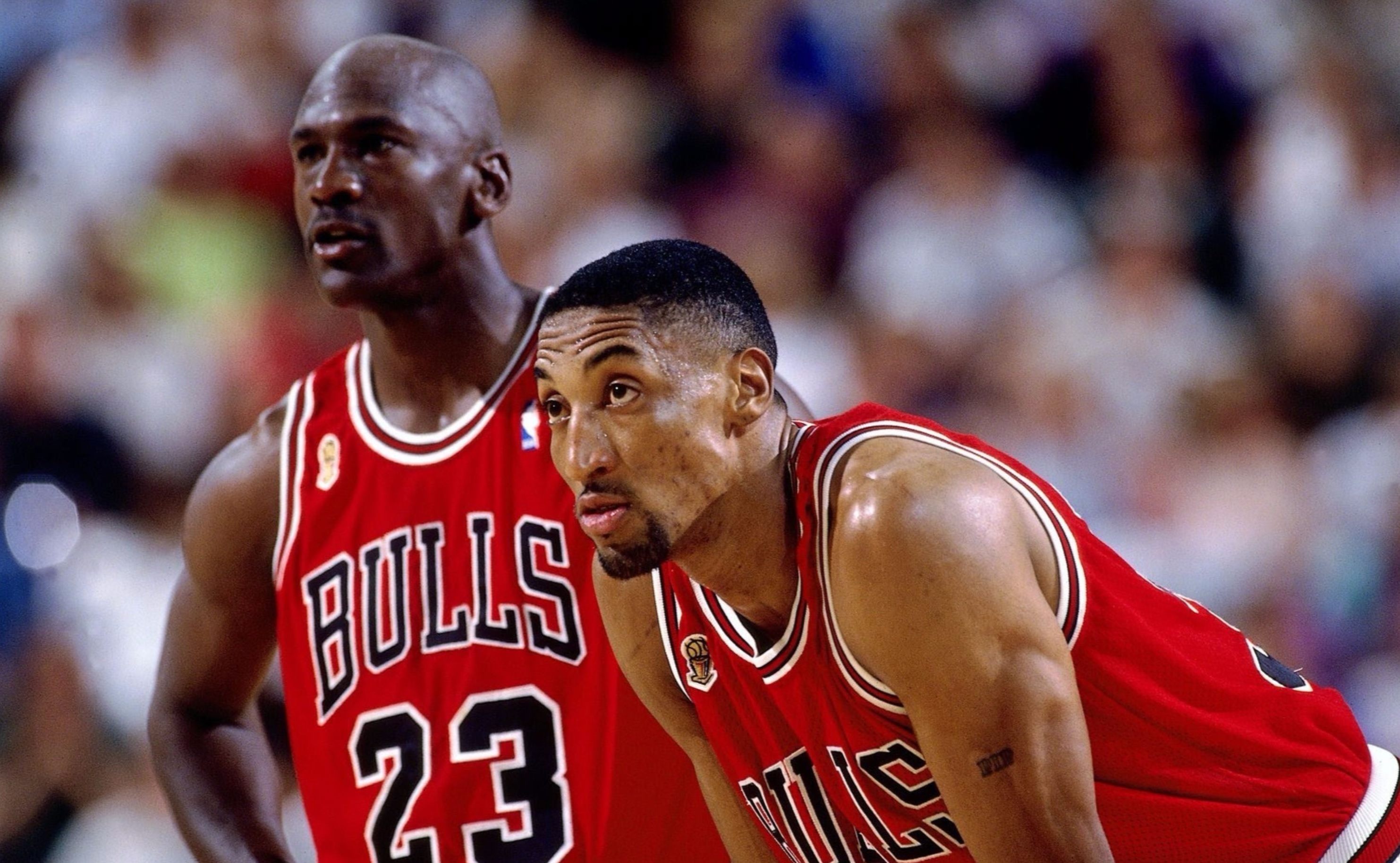 Scottie Pippen-young